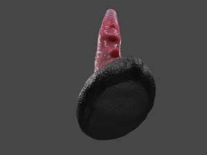 Borian Dragon Sextoy Rigged 3D Model