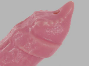 Agorhan Dog Furry Sextoy Rigged 3D Model