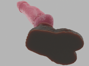 Agorhan Dog Furry Sextoy Rigged 3D 모델