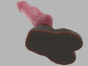 Agorhan Dog Furry Sextoy Rigged 3D Model