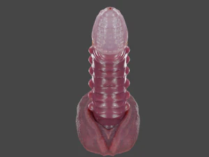 Nehil Dragon Furry Sextoy Rigged 3D Model