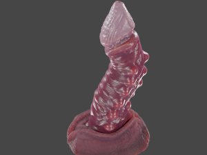 Nehil Dragon Furry Sextoy Rigged 3D 模型