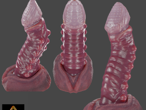 Nehil Dragon Furry Sextoy Rigged 3D Model