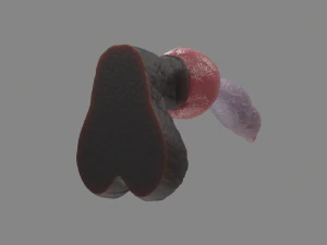 Jan Werewolf Furry Fantasy Sextoy 3D Model
