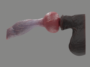 Jan Werewolf Furry Fantasy Sextoy Modelo 3D