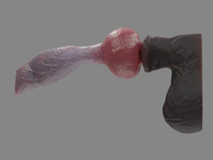 Jan Werewolf Furry Fantasy Sextoy 3D Model
