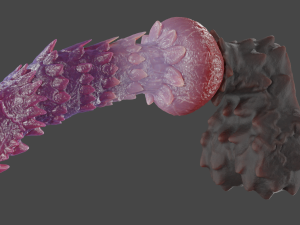 Spinnas Fantasy Furry Sextoy Rigged 3Dモデル