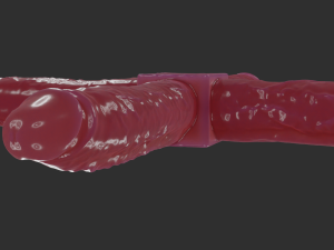 Quadrildo Sextoy Rigged 3D Модель