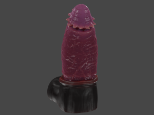 Chonck Fantasy Sextoy Rigged 3D Model