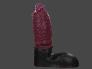 Chonck Fantasy Sextoy Rigged 3D Model