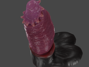 Chonck Fantasy Sextoy Rigged 3D Model