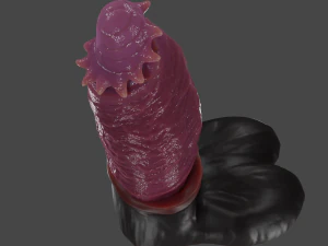 Chonck Fantasy Sextoy Rigged 3D Model