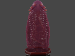 Chonck Fantasy Sextoy Rigged 3D Model