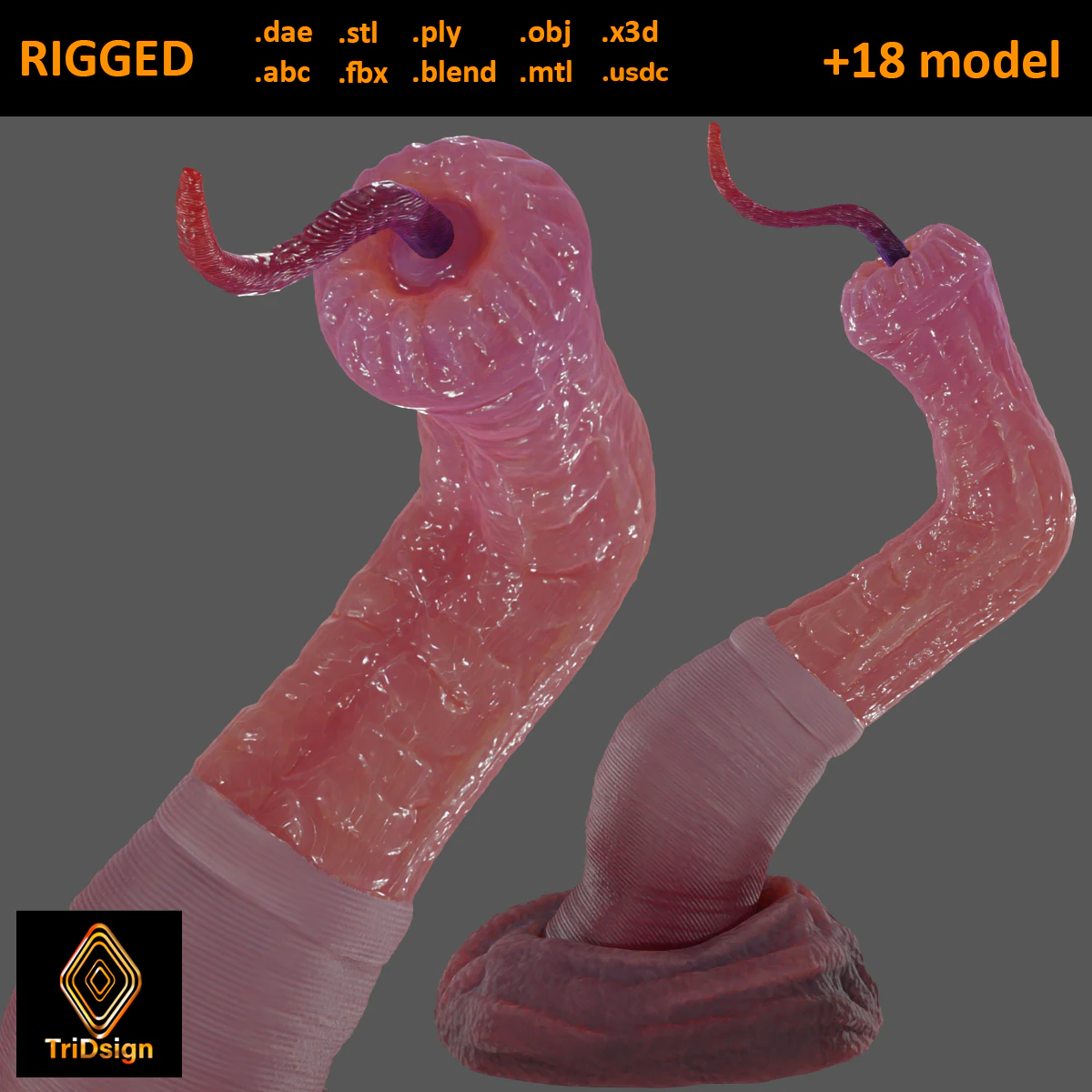Worm Tentacle Fantasy Sextoy Rigged 3D Model .c4d .max .obj .3ds .fbx .stl .blend