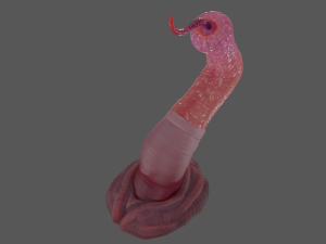 Worm Tentacle Fantasy Sextoy Rigged 3D Model