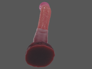 Worm Tentacle Fantasy Sextoy Rigged 3D Model