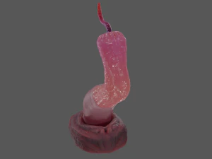 Worm Tentacle Fantasy Sextoy Rigged 3D Model