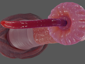 Worm Tentacle Fantasy Sextoy Rigged 3D Model
