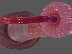 Worm Tentacle Fantasy Sextoy Rigged 3D Model