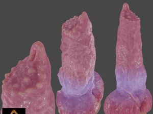 Fantasia Dog Sextoy Rigged Modelo 3D