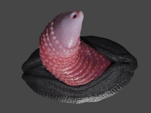 Zaell Dragon Sextoy Rigged 3D Model