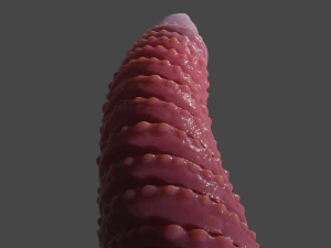 Zaell Dragon Sextoy Rigged 3D Model
