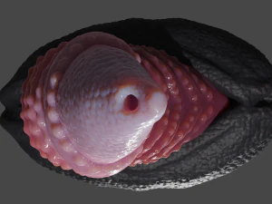 Zaell Dragon Sextoy Rigged 3D Model