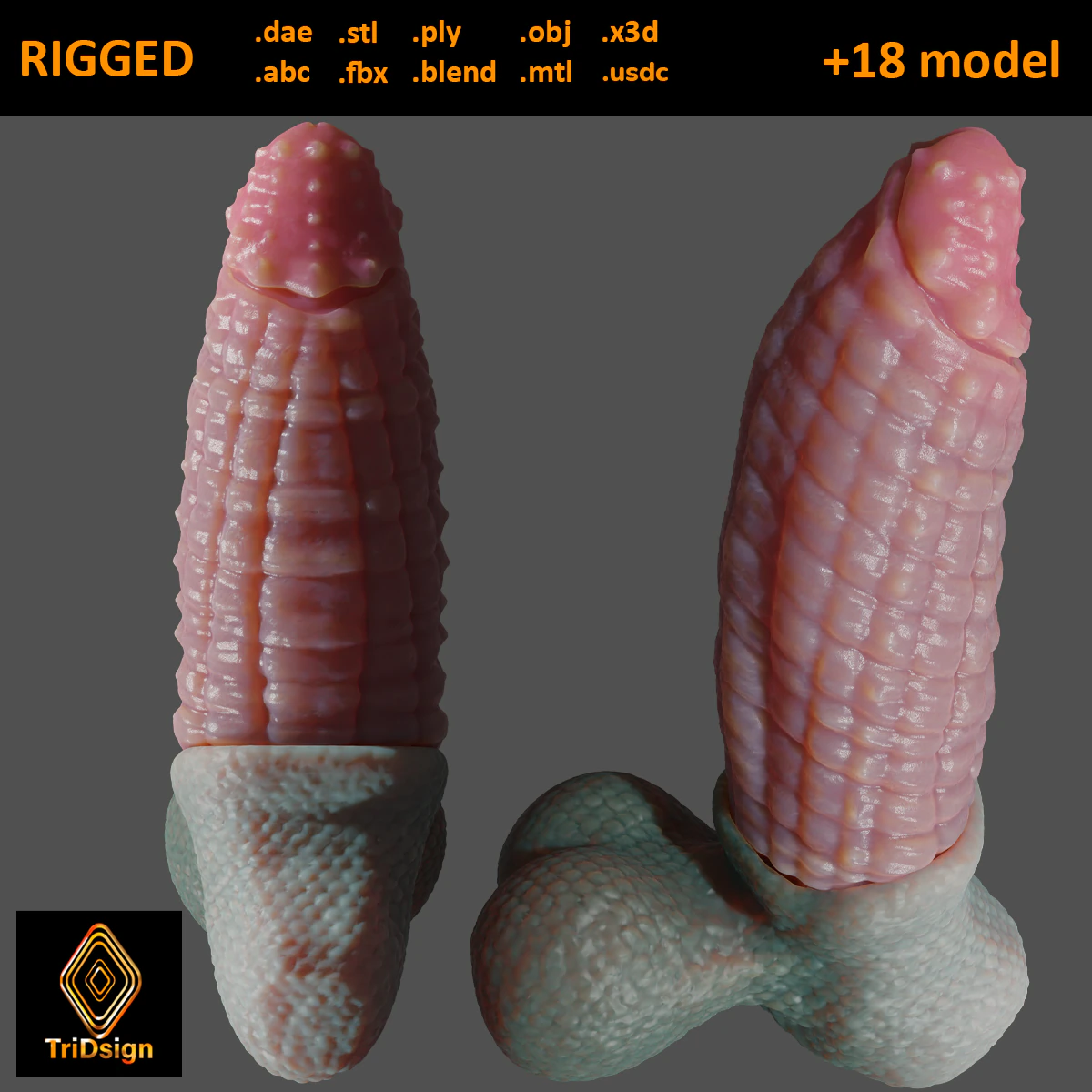 Vashaar Fantasia Dragão Sextoy Rigged Modelo 3D .c4d .max .obj .3ds .fbx .stl .blend