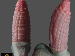 Vashaar Fantasy Dragon Sextoy Rigged 3D Model