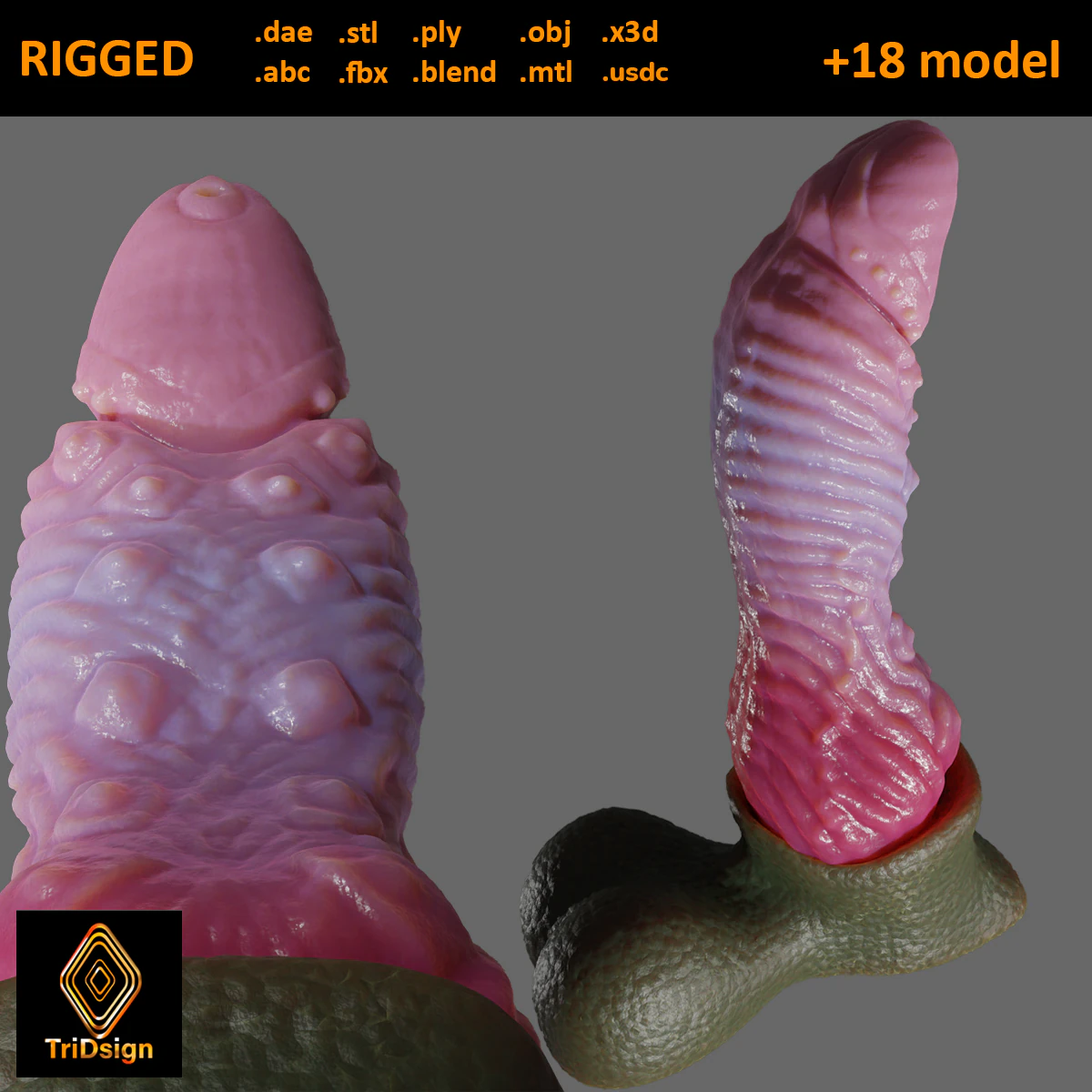Borimor Fantasy Dragon Sextoy Rigged 3D Model .c4d .max .obj .3ds .fbx .stl .blend 