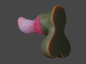 Borimor Fantasy Dragon Sextoy Rigged Model 3D