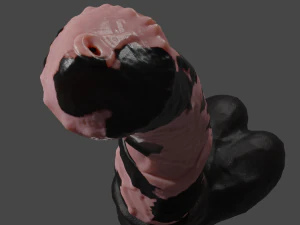 Big Horse Furry Sextoy Rigged 3D Model