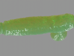 Slime Fantasy Penis and Balls Rigged Model 3D