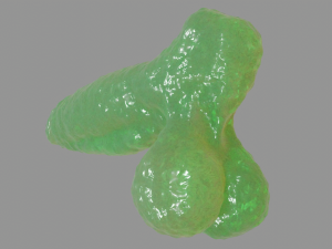 Slime Fantasy Penis and Balls Rigged Model 3D