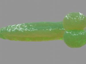 Slime Fantasy Penis and Balls Rigged Model 3D