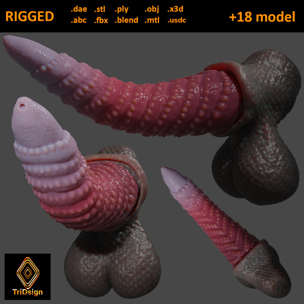Zaell-2 Dragon Penis and Balls Rigged 3D Model .c4d .max .obj .3ds .fbx .stl .blend 