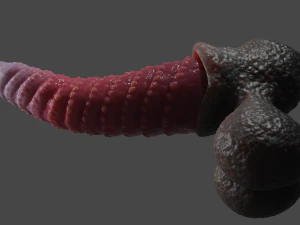 Zaell-2 Dragon Penis and Balls Rigged 3D Model