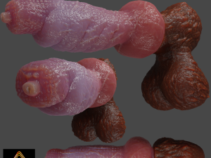 Bruttus Furry Sextoy Rigged 3Dモデル