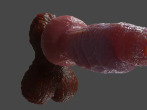 Bruttus Furry Sextoy Rigged 3D Model