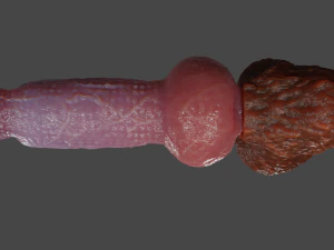Bruttus Furry Sextoy Rigged 3D Model