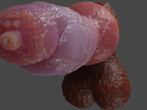 Bruttus Furry Sextoy Rigged 3D 모델