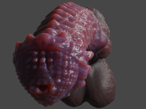 Demon Horse Furry Sextoy Rigged 3D 模型