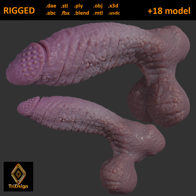 Dragonborn Fantasy Sextoy Rigged 3D Модель .c4d .max .obj .3ds .fbx .stl .blend