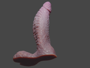 Dragonborn Fantasy Sextoy Rigged 3D Модель