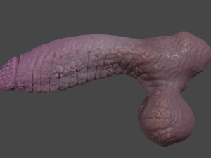 Dragonborn Fantasy Sextoy Rigged 3D Модель