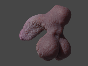 Dragonborn Fantasy Sextoy Rigged 3D Модель
