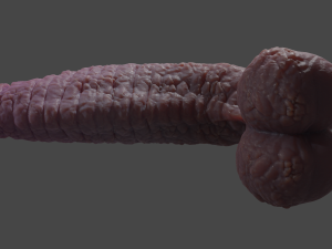 Dragonborn Fantasy Sextoy Rigged 3D Модель