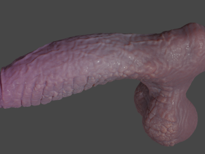 Dragonborn Fantasy Sextoy Rigged 3D Модель