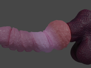 Korrinan Dragon Fantasy Sextoy Rigged Model 3D