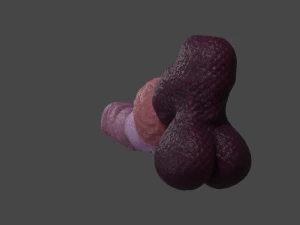 Korrinan Dragon Fantasy Sextoy Rigged 3D Model